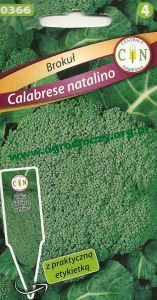 Brokuł Calabrese Natalino
